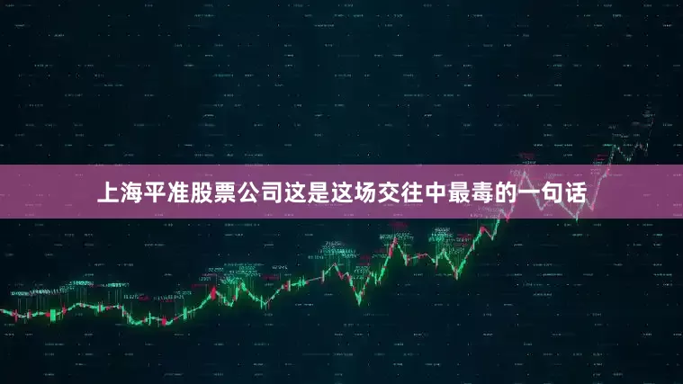 上海平准股票公司这是这场交往中最毒的一句话